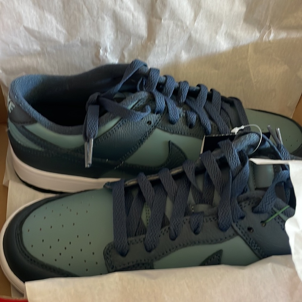 Nike Dunks SIZE 10